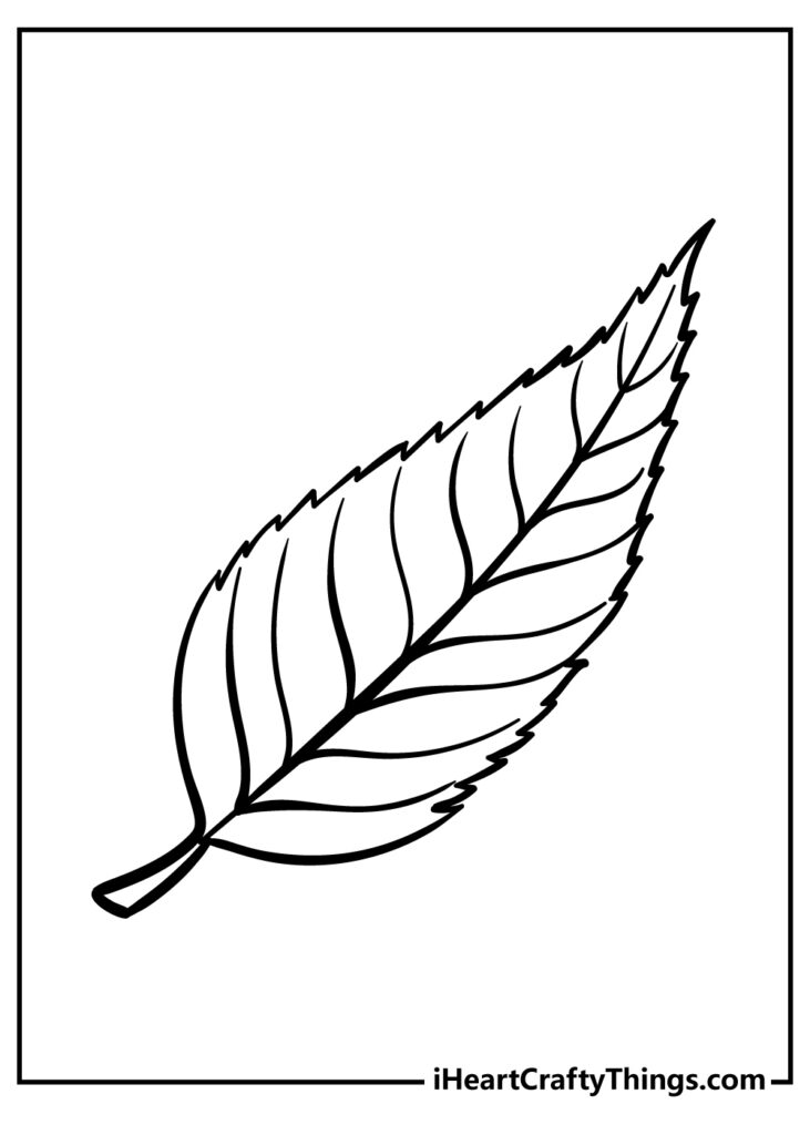 Leaf Coloring Pages (100% Free Printables) Throughout Free Printable Leaf Coloring Pages Leaf Coloring Pages (100% Free Printables) Throughout Free Printable Leaf Coloring Pages