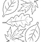 Leaf Outlines, Templates & Coloring Pages   55 Free Pages Intended For Free Printable Leaf Coloring Pages
