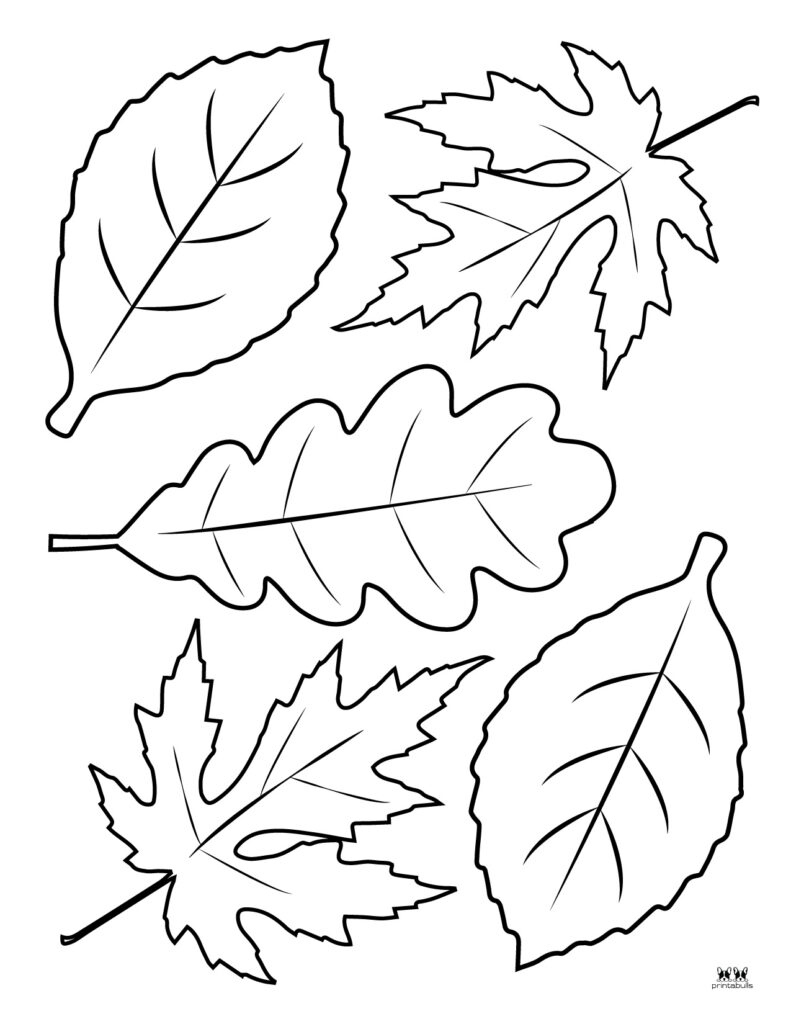 Leaf Outlines, Templates & Coloring Pages 55 Free Pages Intended For Free Printable Leaf Coloring Pages Leaf Outlines, Templates & Coloring Pages 55 Free Pages Intended For Free Printable Leaf Coloring Pages