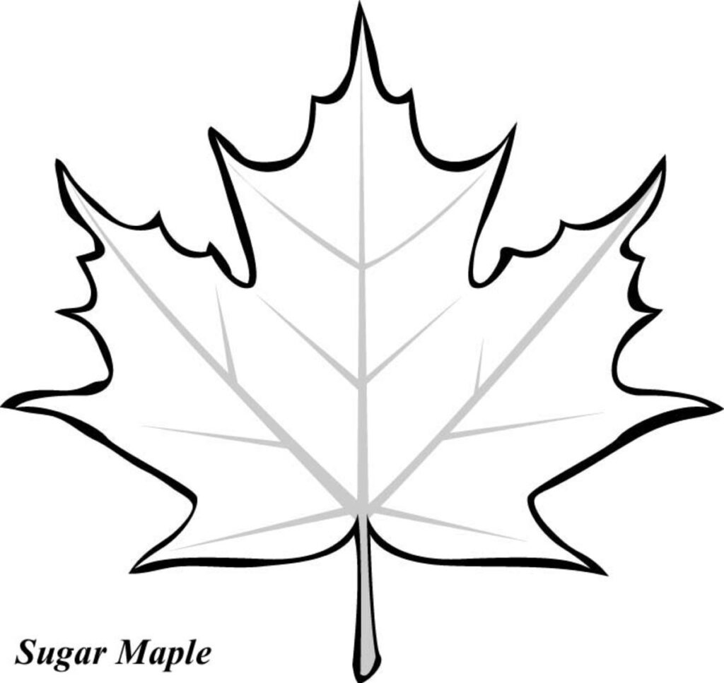 Leaf Printable Coloring Pages Hubpages Within Free Printable Leaf Coloring Pages Leaf Printable Coloring Pages Hubpages Within Free Printable Leaf Coloring Pages