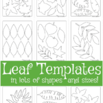 Leaf Template | Free Printable Leaf Outlines For Kids With Regard To Free Printable Oak Leaf Patterns