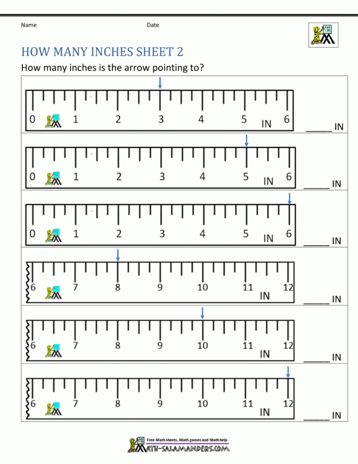 Free Printable Measurement Worksheets Grade 1