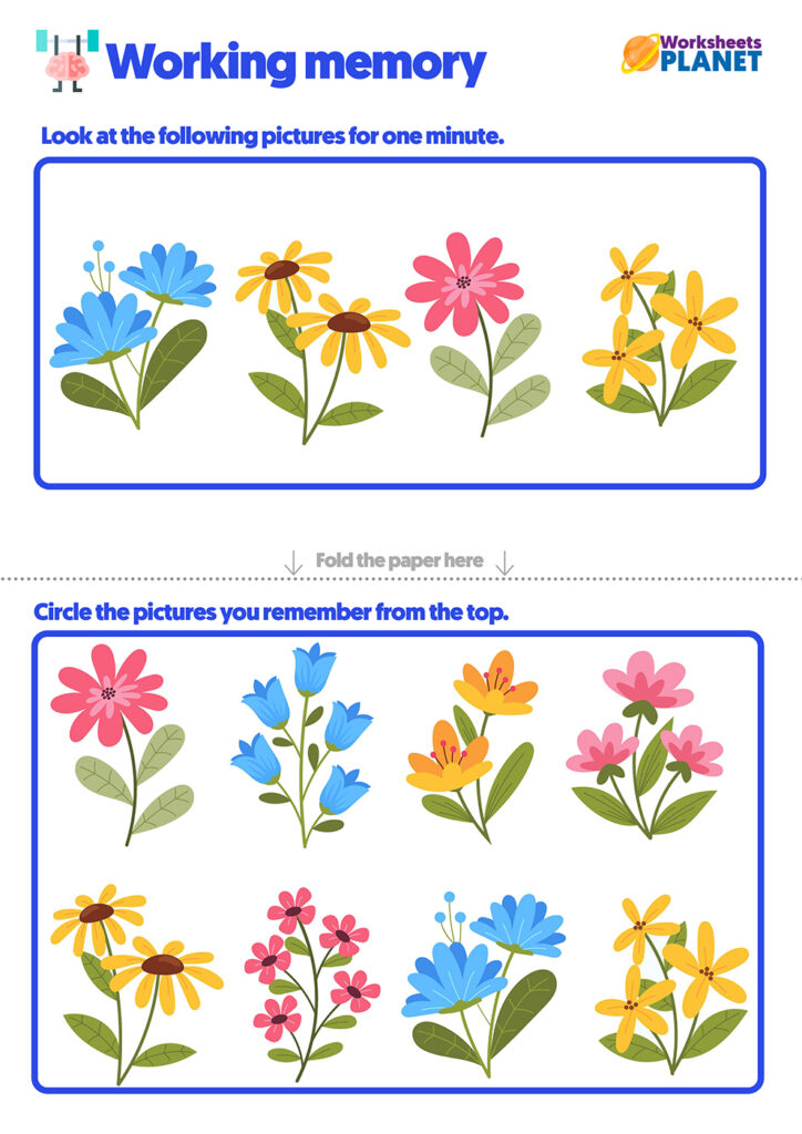 Memory Skills Activities For Kids | Memory Skills Exercises Worksheets Within Free Printable Memory Exercises Memory Skills Activities For Kids | Memory Skills Exercises Worksheets Within Free Printable Memory Exercises