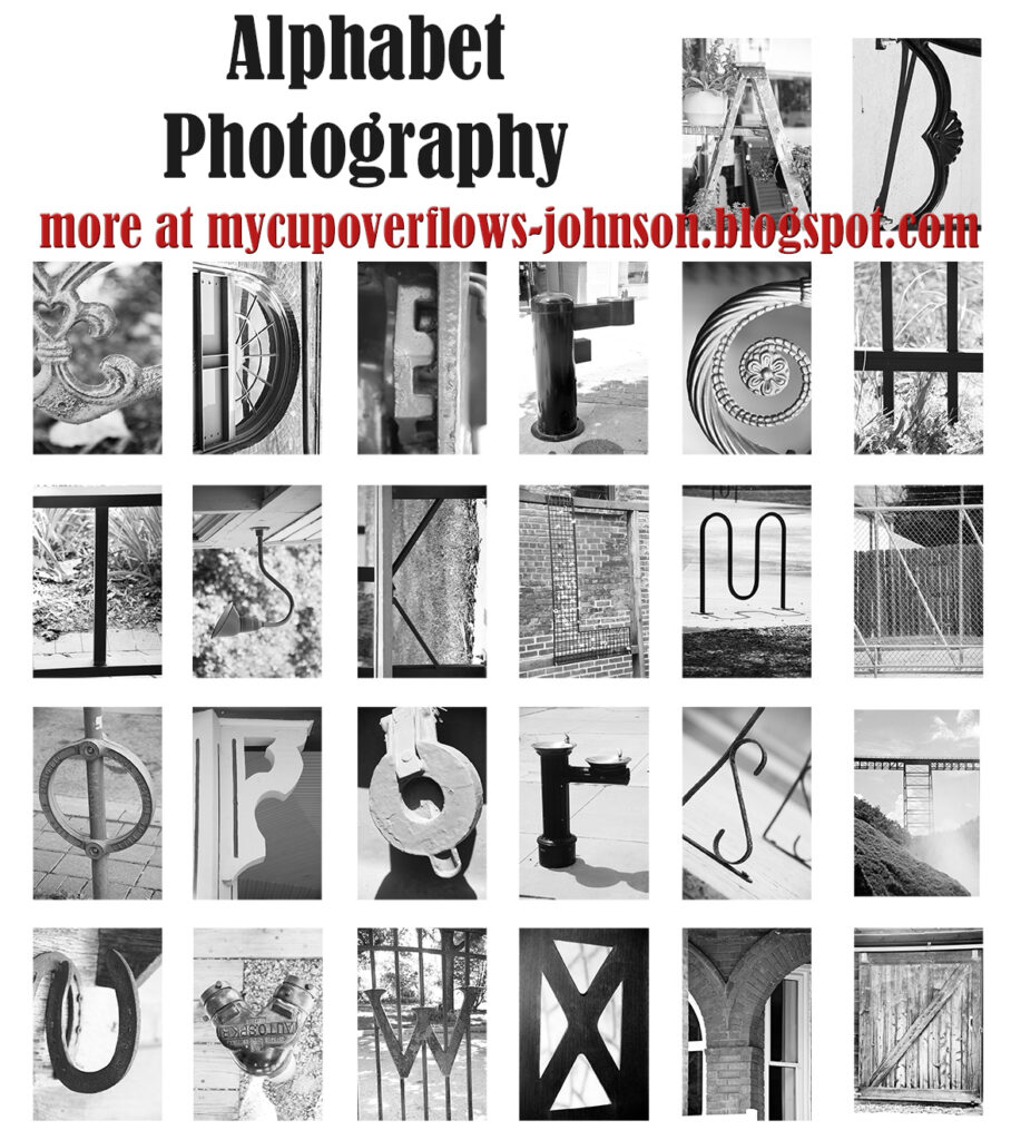 My Cup Overflows: Alphabet Photography Throughout Free Printable Alphabet Photography Letters My Cup Overflows: Alphabet Photography Throughout Free Printable Alphabet Photography Letters