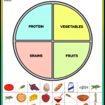 Nutrition Worksheets: Free Printable Ideas And Templates With Free Printable Health Worksheets For Middle School