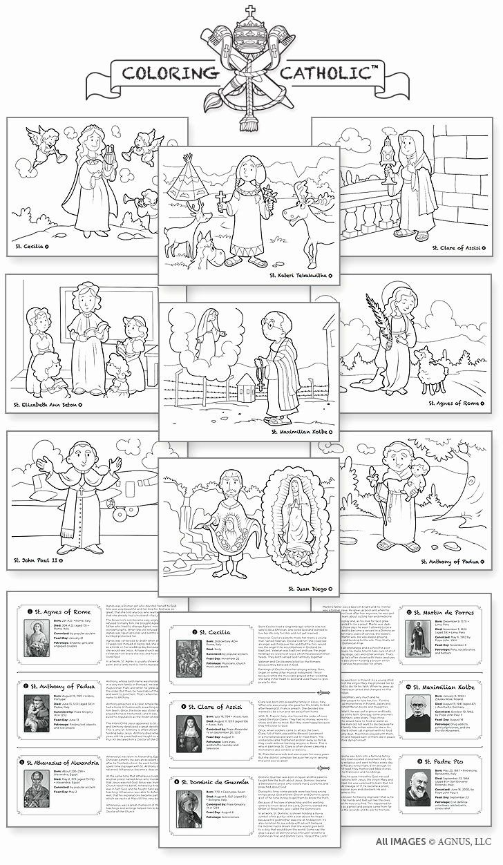 Order Of The Mass Worksheet Lovely Catholic Mass Parts In Order with Free Printable Catholic Mass Book