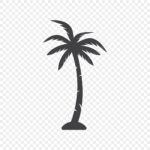 Palm Tree Silhouette Png And Vector Images Free Download   Pngtree Intended For Free Printable Palm Tree Template