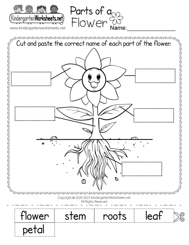 Free Printable Worksheets For Kids Science