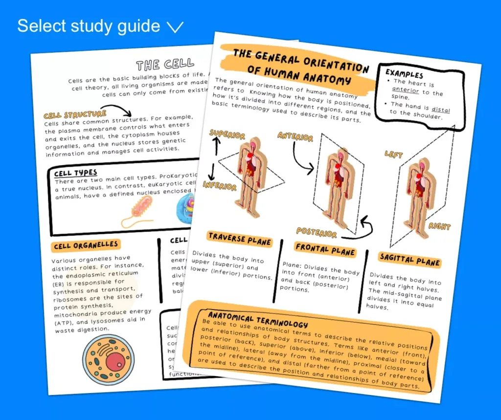 Pdf Full Teas Practice Test With Free Printable Teas Practice Test Pdf Full Teas Practice Test With Free Printable Teas Practice Test