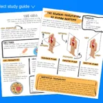 Pdf Full Teas Practice Test With Free Printable Teas Practice Test