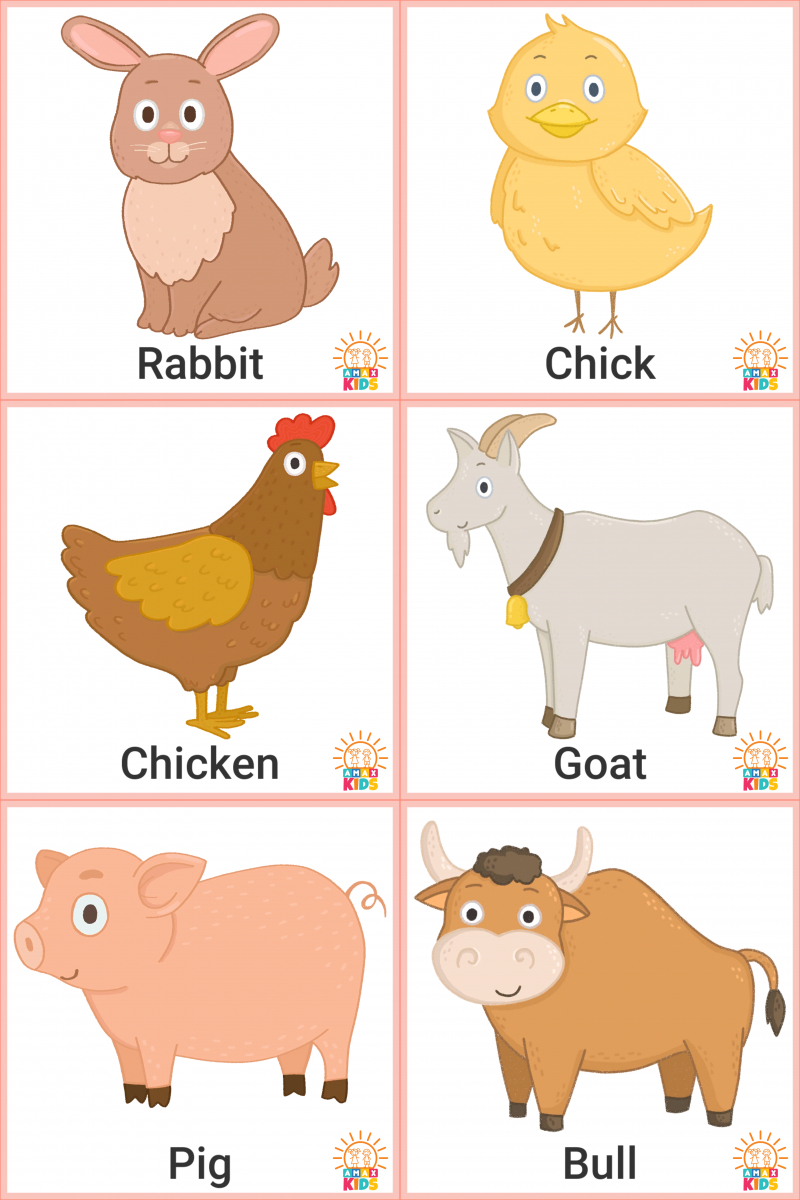 Printable Flashcards For Kids – Farm Animals | Amax Kids in Free Printable Farm Animal Pictures