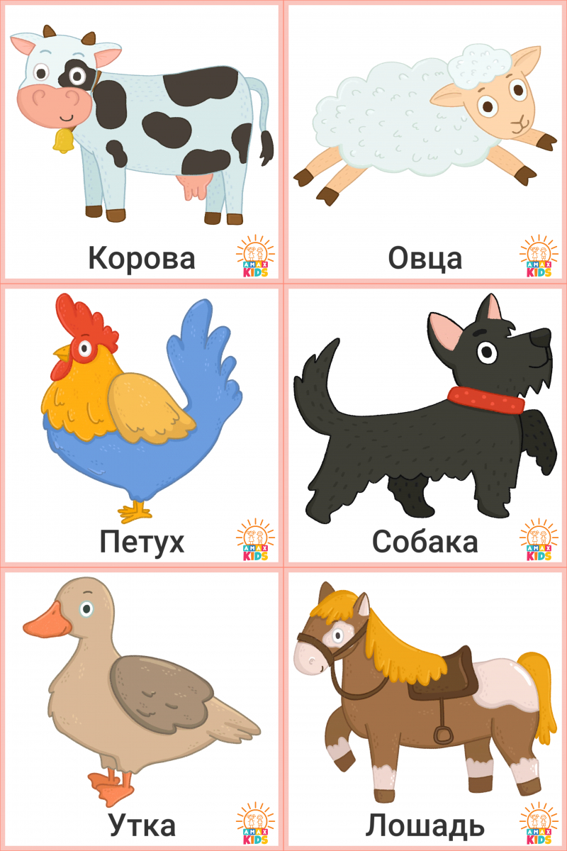 Printable Flashcards For Kids – Farm Animals | Amax Kids regarding Free Printable Farm Animal Clipart