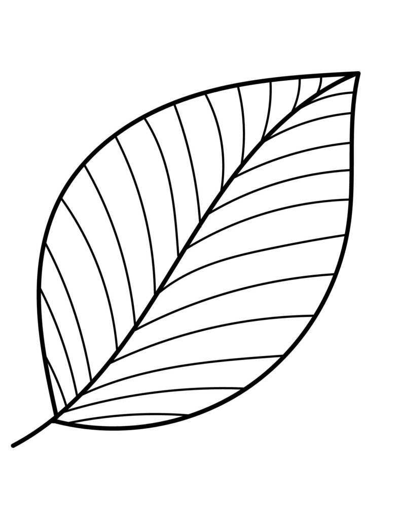 Printable Leaf Outline Templates Crafty Morning Within Free Printable Leaf Template Printable Leaf Outline Templates Crafty Morning Within Free Printable Leaf Template