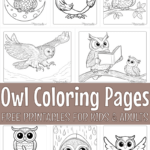 Printable Owl Coloring Pages (Free Pdf) Throughout Free Printable Owl Coloring Sheets