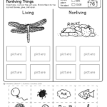 Science Worksheets For Kindergarten (Free Printables)   Worksheets With Free Printable Worksheets For Kids Science