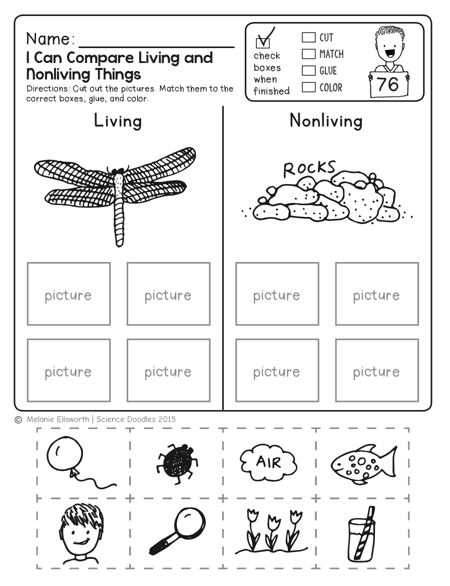 Science Worksheets For Kindergarten (Free Printables) - Worksheets with Free Printable Worksheets For Kids Science