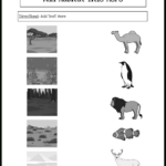 Storyboard That: Free Animal Habitat Worksheets For Free Printable Worksheets Animal Habitats