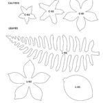 Templates Pertaining To Free Paper Flower Templates Printable