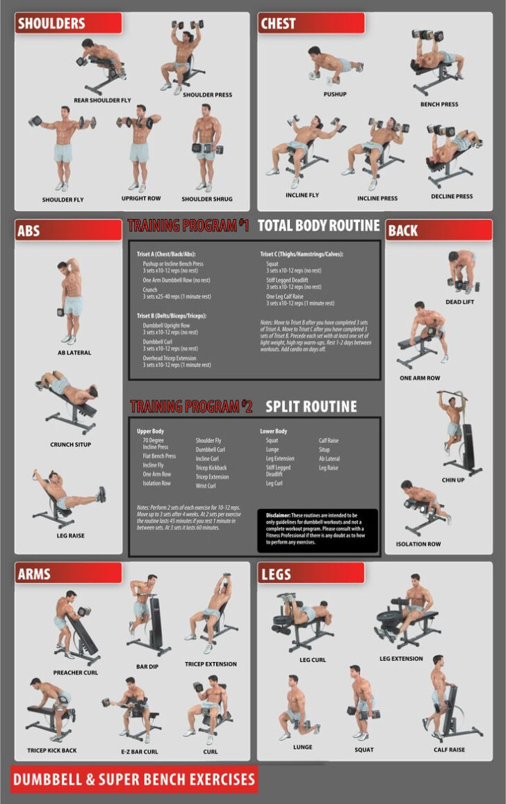 Free Printable Gym Workout Routines